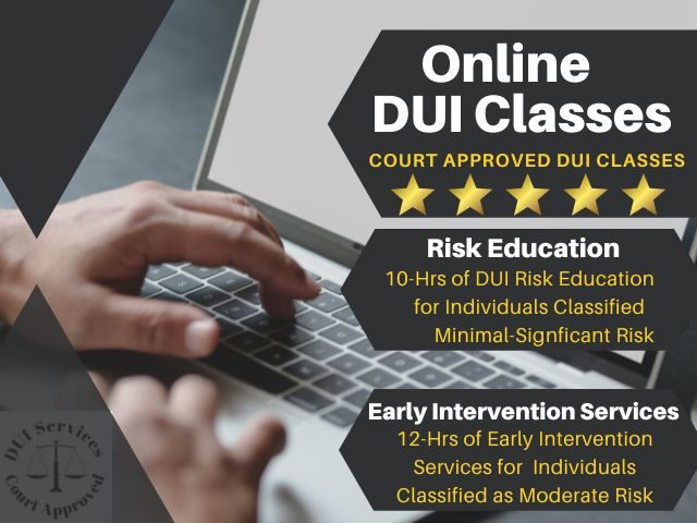 DUI Classes Online